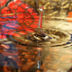 Illustration for article titled Shooting Challenge: Water Drop Gallery Part 1